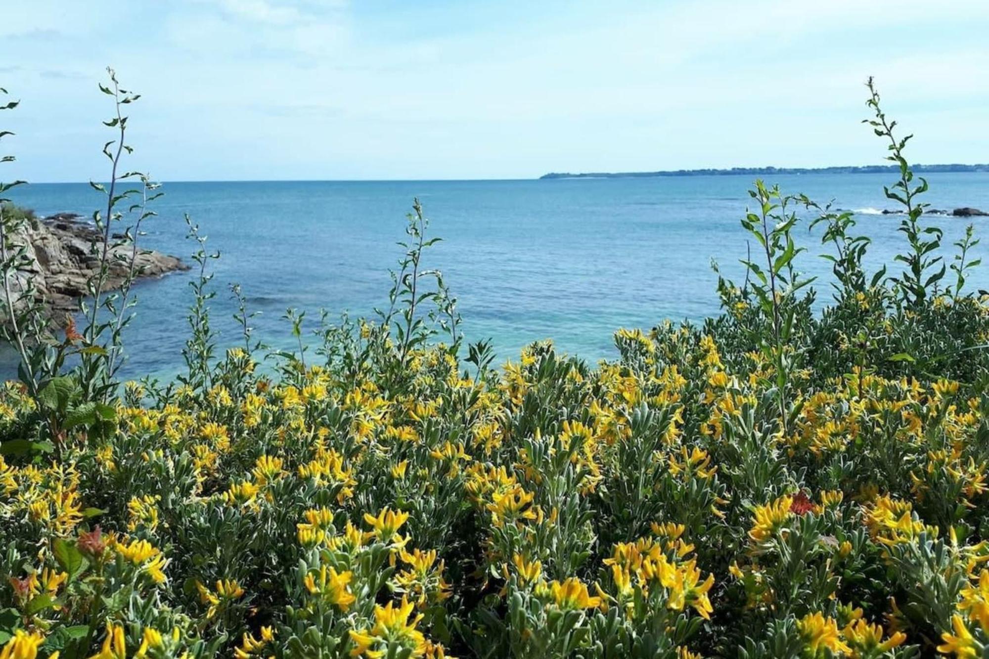 Spacieux Appartement Neuf De Standing Hyper Cosy Larmor-Plage Buitenkant foto